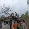 berita-image